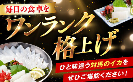 イカ三昧セット 《対馬市》【いか吉工房】 いか イカ ヤリイカ スルメイカ 刺身 一夜干し 海鮮[WBO002]