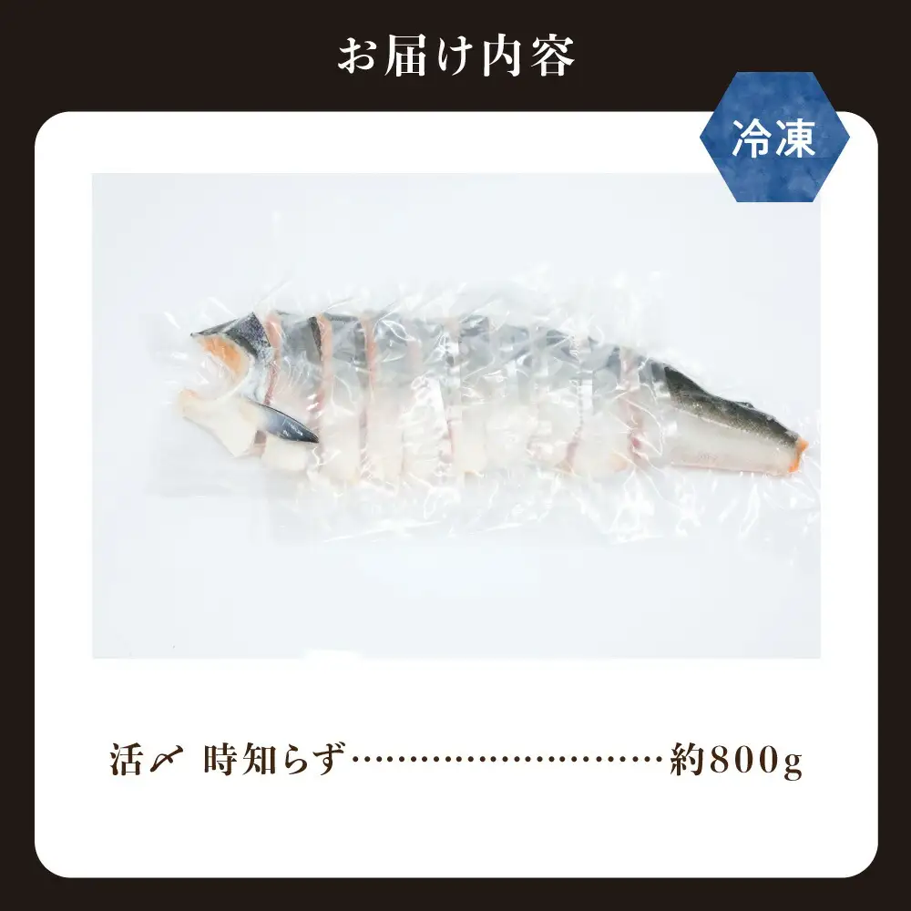 活〆 時知らず 天然 鮭切身 中塩仕込 10切(2切160g×5パック) 800g  知床斜里産