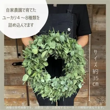 【ユーカリ農家直送】摘みたてユーカリリース　【1670631】