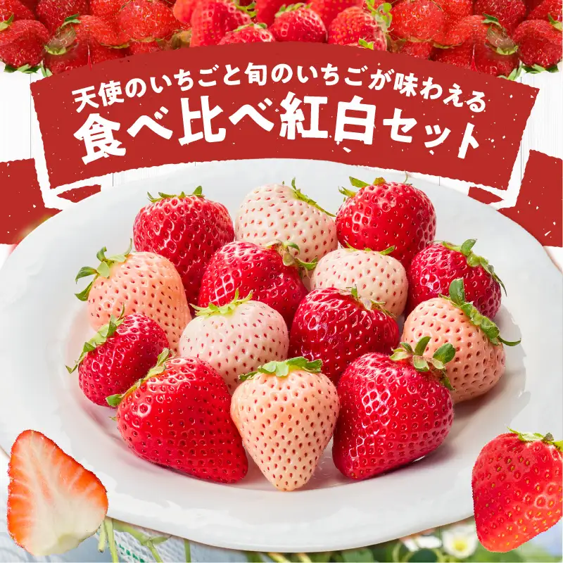 特別栽培 白いちご 天使のいちごと旬のいちご詰め合わせ紅白セット （ふくおかエコ農産物） 約500g _ 旬 いちご 詰め合わせ 紅白セット 2パック入り 約 500g ふくおかエコ農産物 旬のいちご 食べ比べ ギフト用 久留米市産 天使のいちご あまおう 恋みのり かおりの 紅ほっぺ よつぼし すず あまえくぼ お取り寄せ 福岡県 久留米市 送料無料  〔Fi113〕
