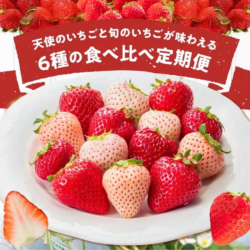【定期便 3回】特別栽培 6種のいちごの食べ比べ 約540g×3回 _ 定期便 3回 特別栽培 6種 いちご 食べ比べ セット ふくおかエコ農産物 旬のいちご 新鮮 久留米市産 白いちご 淡雪 天使のいちご あまおう かおりの 紅ほっぺ すず 果物 おやつ デザート お取り寄せ フルーツ 福岡県 久留米市 送料無料  〔Tk049〕