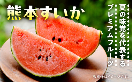 【2026年 先行予約】【数量限定】大玉すいか 3L以上 2玉入り 約16kg【日本フルーツ株式会社】[AYDA009]