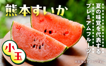 【2026年 先行予約】【数量限定】小玉すいか L以上 3?5玉入り 約4.5kg【日本フルーツ株式会社】[AYDA010]