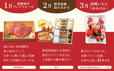 バラエティ【12回定期便】諫早市 定期便 AHDC040 20万