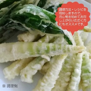 【令和9年産先行予約】月山筍 サイズミックス 2kg　がっさん たけのこ　鶴岡市朝日東部地区自治振興会