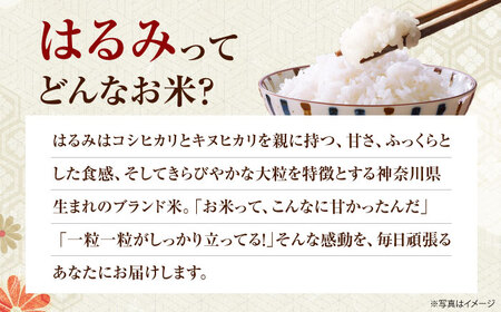 【令和7年産】【特Aランク受賞実績あり！】はるみ 20kg【なんかいファーム】 米 お米 精米 白米 はるみ 新米 令和7年産[BDBD004]