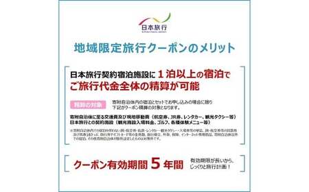 福岡県柳川市 日本旅行 地域限定旅行クーポン30,000円分（30,000円分×1枚）旅行クーポン 旅行 観光 クーポン 家族旅行 柳川市