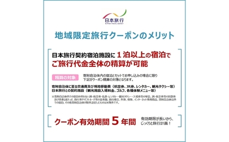 福岡県柳川市 日本旅行 地域限定旅行クーポン60,000円分（30,000円分×2枚）旅行クーポン 旅行 観光 クーポン 家族旅行 柳川市