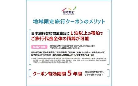 福岡県柳川市 日本旅行 地域限定旅行クーポン150,000円分（30,000円分×5枚）旅行クーポン 旅行 観光 クーポン 家族旅行 柳川市