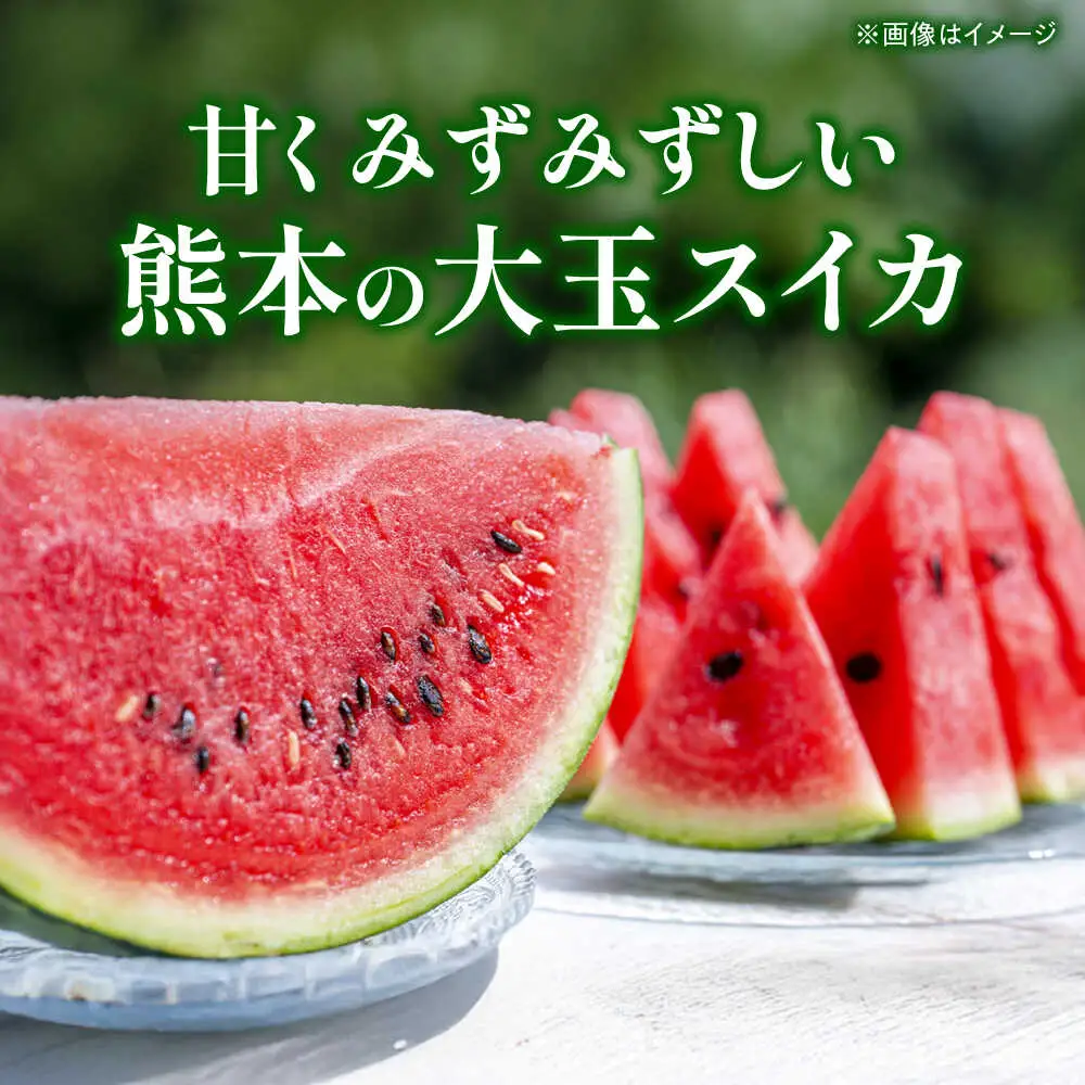 【先行予約】 小玉スイカ＆肥後グリーンメロンの食べ比べ 各1玉（計2玉 約3.5kg） すいか 小玉 メロン グリーンメロン 熊本 フルーツ 野菜 果物 【日本フルーツ株式会社】[ZFJ040]