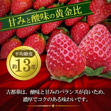 いちご　古都華・ことか　大粒　1パック(9～15粒入り)【配送不可地域：離島・北海道・沖縄県・東北】【1689690】