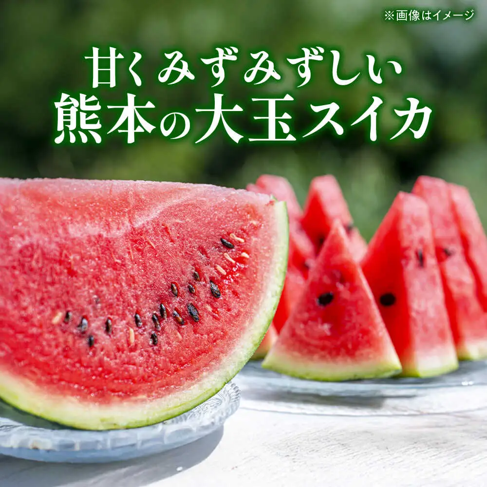 【先行予約】 大玉スイカ 3Lサイズ 1玉入り 約8kg すいか 大玉 熊本 フルーツ 野菜 果物 【日本フルーツ株式会社】[ZFJ047]