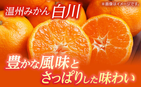 【先行予約】 温州みかん 『白川』 約5kg S～Lサイズ 【奥村果実園】[ZFK007]