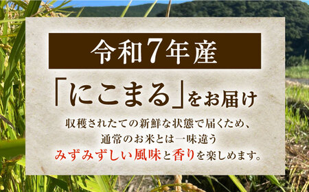 【R7年度産・白米】長崎県佐々町産「にこまる」5kg[QCD001]