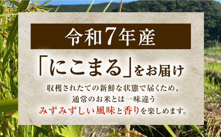 【R7年度産・白米】長崎県佐々町産「にこまる」10kg(5kg×2袋)[QCD002]