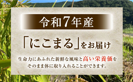 【R7年度産・玄米】長崎県佐々町産「にこまる」15kg(5kg×3袋)[QCD003]