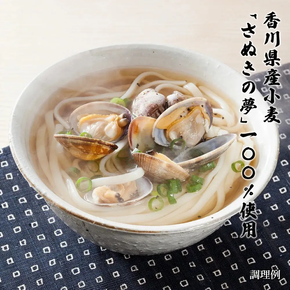さぬきの夢うどん細づくり60人前（300g×20袋）