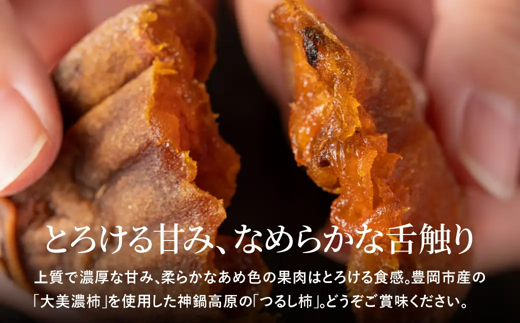 つるし柿 縄のれん10個 神鍋特産 ご自宅用 / 神鍋高原 つるし柿 ドライフルーツ 干し柿 干柿 ほしがき 大美濃柿 縄のれん お取り寄せ 果物 柿 フルーツ 高糖度 国産 兵庫 産地直送 お菓子 和菓子 自然食品