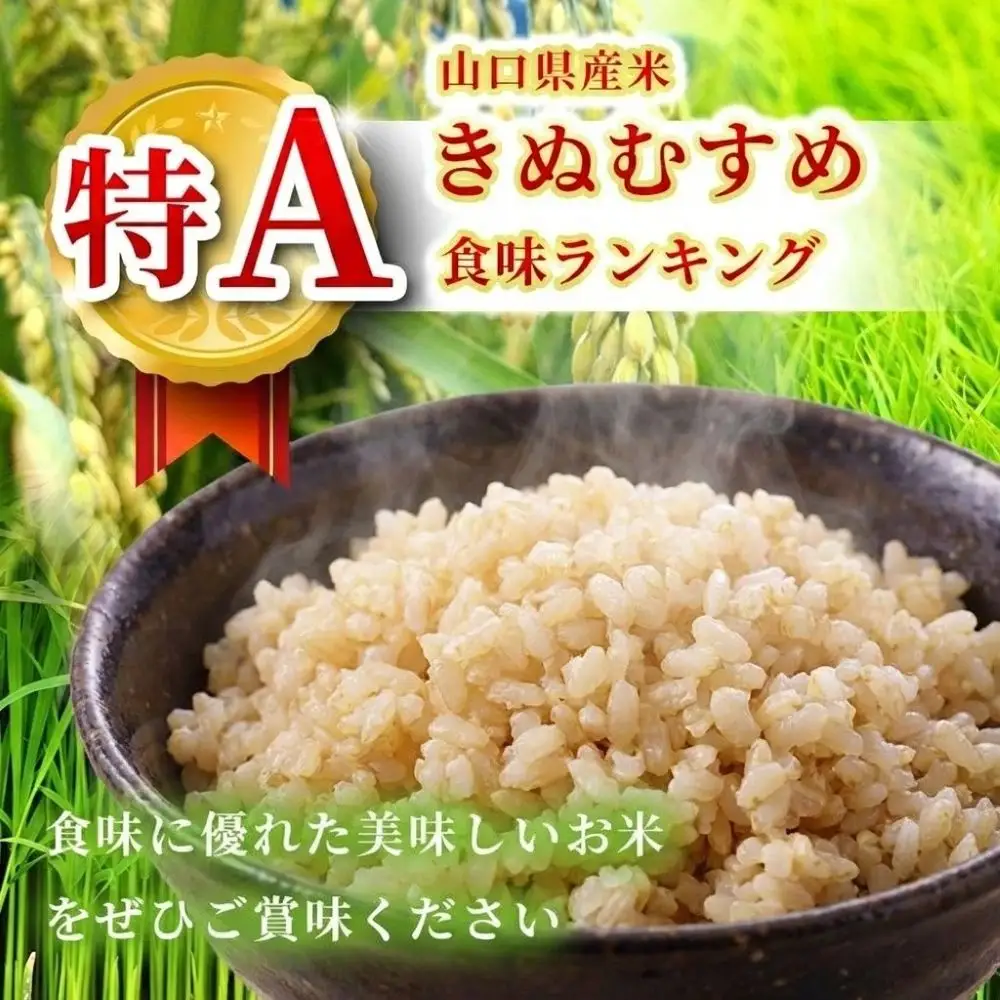 令和8年度産 新米 きぬむすめ 玄米 20kg 村上農園 先行予約 ＜ 2026年10月中旬より11月末まで順次発送＞