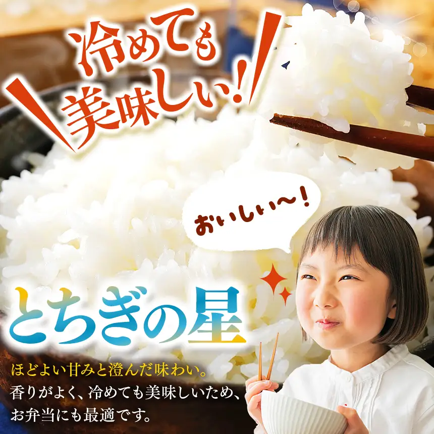 令和8年度産 先行予約 【定期便3回】とちぎの星 玄米 約5kg