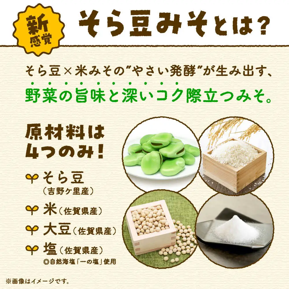 そら豆味噌 450g×3個 生みそ 高オレイン酸大豆 一の塩 そら豆 吉野ヶ里町/イデマン味噌醤油醸造元[FAF035]