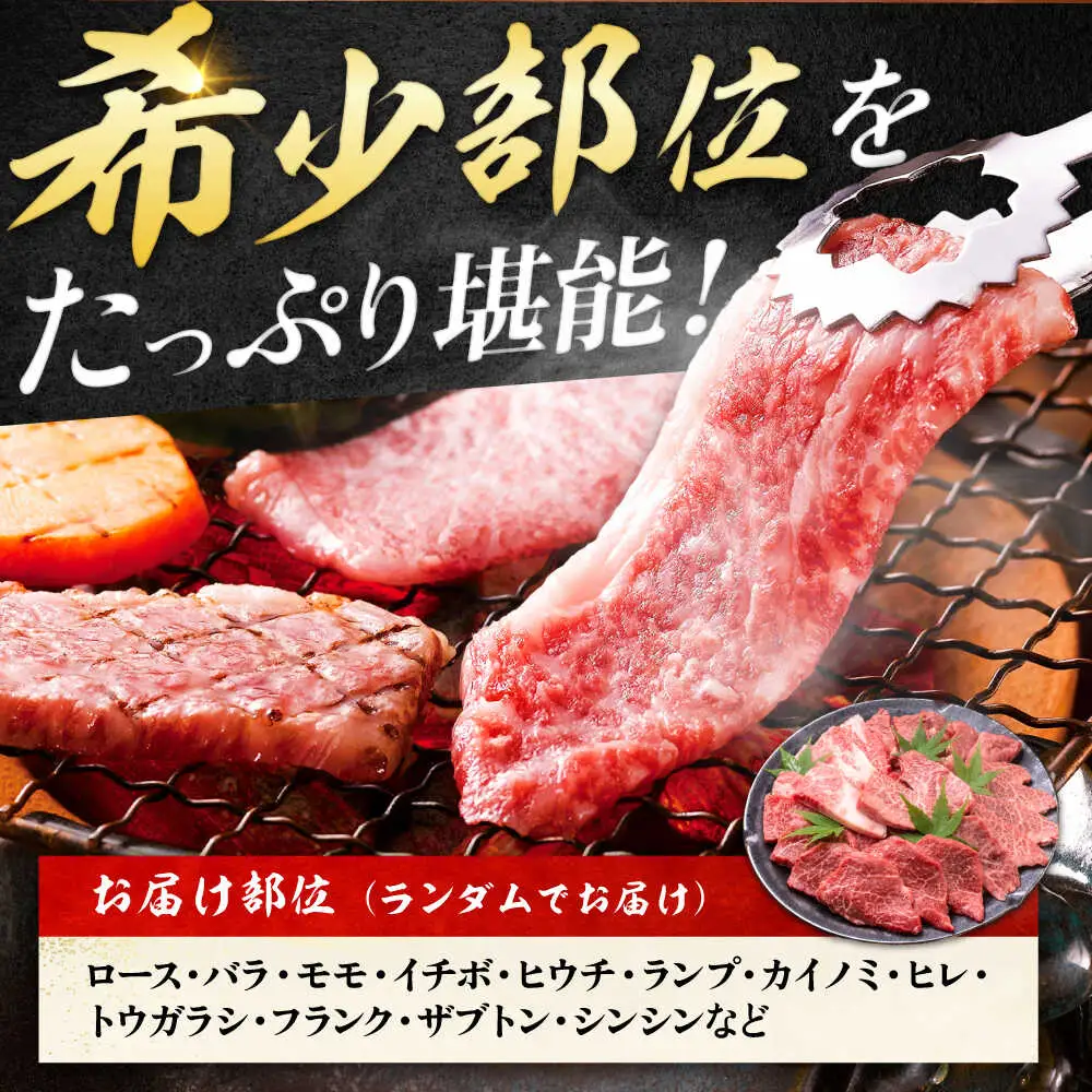 艶さし！【A4～A5】希少部位!佐賀牛おまかせ焼肉6種盛りセット 吉野ヶ里町/株式会社MEAT PLUS[FDB078]