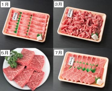 伊万里牛食べつくし 定期便 6回便  モモスライス入り ステーキ 焼肉 10万円コース 999-J251