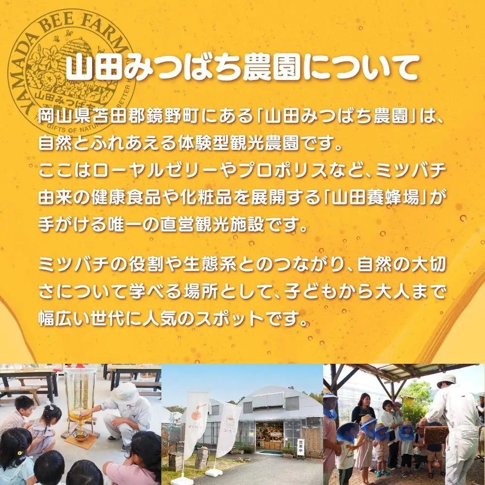 ［山田みつばち農園］1Dayフリーパス（1月～5月）いちご狩り付き 049-a002