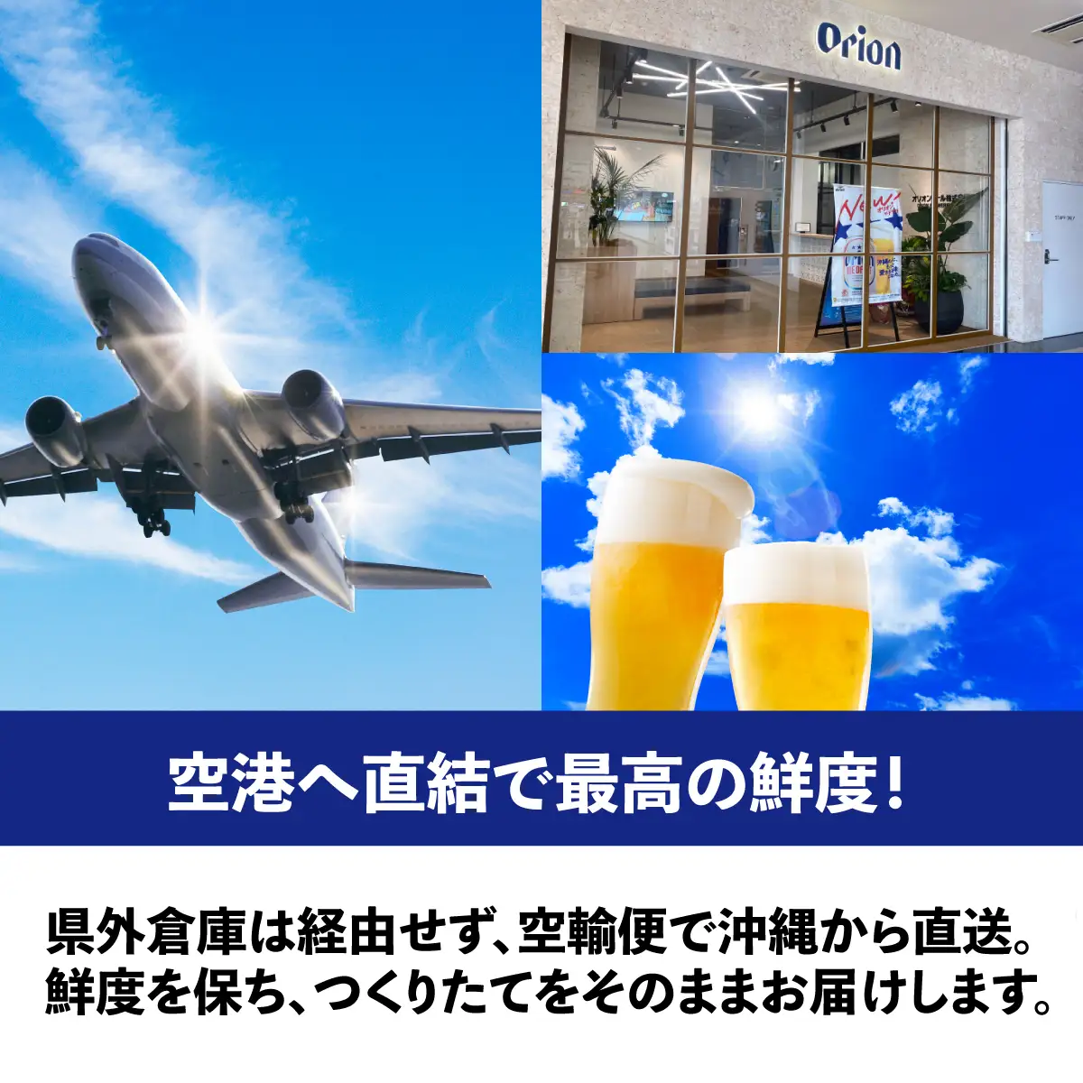 オリオンビール ザ・ドラフト 500ml × 48缶