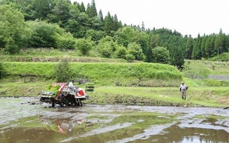 令和７年産 南小国町産のお米あきげしき ４kg 南小国産 精米 玄米 米 白米 お米 ご飯 産地直送 SMO南小国 熊本 阿蘇 南小国町 送料無料