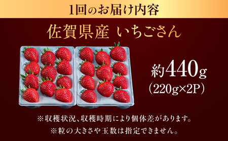【3回定期便】佐賀県産イチゴ「いちごさん」約440g /有限会社しげやす[UEQ005]イチゴ