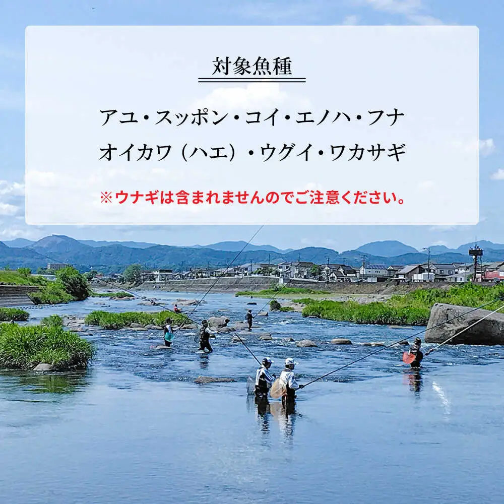 【令和8年度】ウナギを除く全魚種 遊漁年券(1枚)　日田市 / 日田漁業協同組合 鮎 アユ 釣り[ARFJ001]