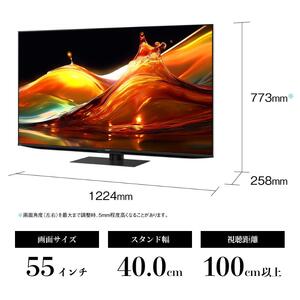 テレビ 55型 4K mini LED 量子ドット液晶テレビ シャープ SHARP AQUOS アクオス 55V型 4T-C55HP1 Google TV YouTube Netflix 内蔵 144Hz ゲーム 映画 高画質 80W 高音質 リビング 家電 電化製品 送料無料