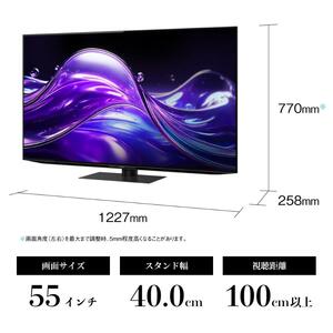 テレビ 55型 4K 有機ELテレビ シャープ SHARP AQUOS アクオス 55V型 4T-C55HQ1 Google TV YouTube Netflix 内蔵 144Hz ゲーム 映画 最高峰 高画質 80W 高音質 リビング 家電 電化製品 送料無料