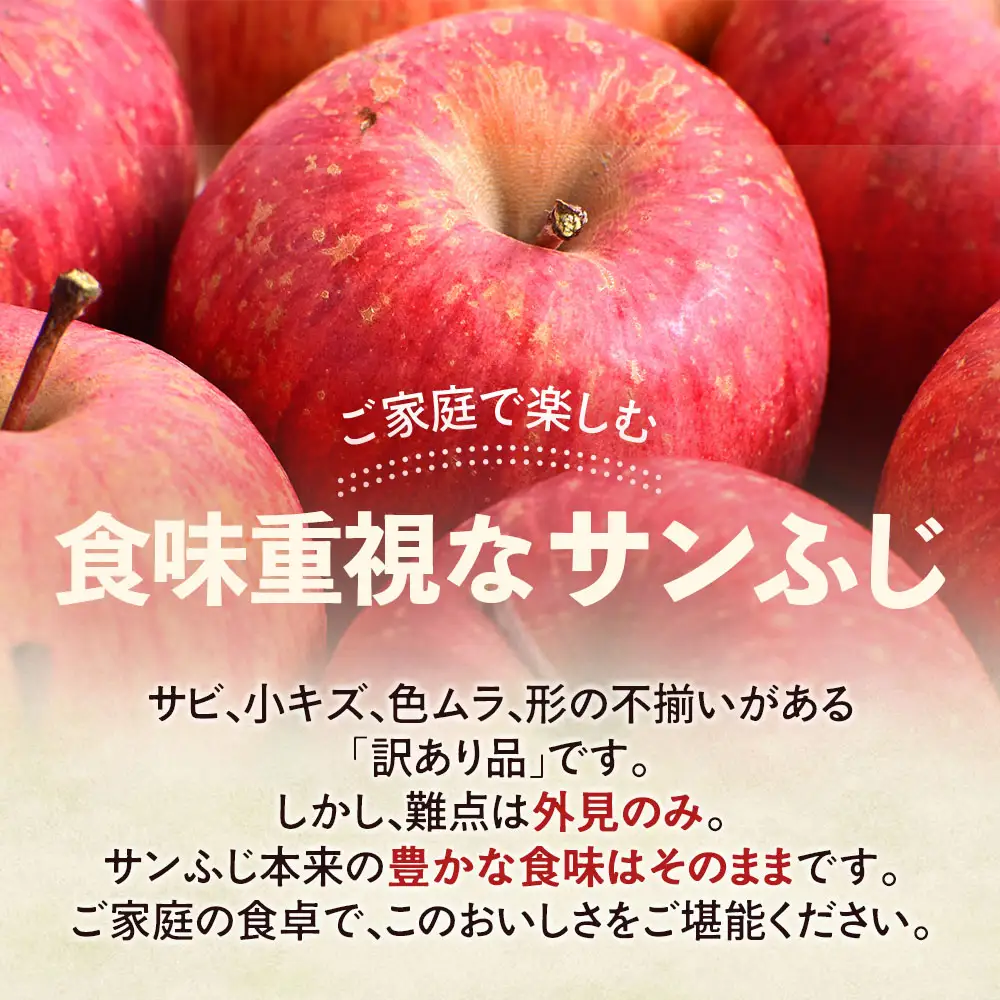 りんご 訳あり 青森県産 サンふじ 約3kg  【高原農園】 りんご