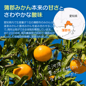 【数量限定】蒲郡みかんジュース（ストレート果汁100％みかんジュース）_【G0625】