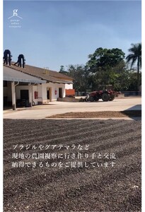 自家焙煎珈琲豆セット(200g×3袋）_細挽【G0658】