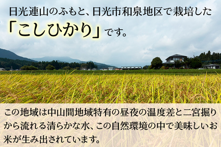 [予約受付][令和8年度米] 日光産 こしひかり 5kg 日光・福田農園 [0842]