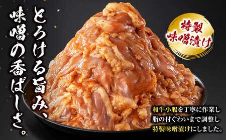 ＜訳アリ＞和牛トロホルモン　特製味噌漬け　1.8kg(300g×6）【2026年10月発送】