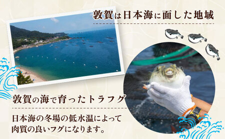 『 敦賀ふぐ 1尾分(約600g)  & 敦賀市地酒 月きよし720ml ×1本 』[000-a001]