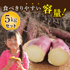 【大子町産】熟成さつまいも すずほっくり 5kg｜茨城県 大子町 サツマイモ 芋 甘い ホクホク 野菜 数量限定 希少品種 秋 旬 産地直送（CH005）
