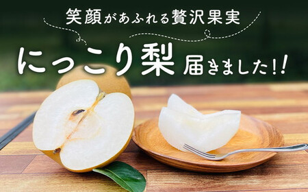 高根沢町産にっこり梨（約5kg・5～8玉入り）| 梨 なし ナシ 果物 くだもの フルーツ 甘い 秋の味覚 産地直送 期間限定 季節限定 季節商品 送料無料 国産 栃木県 高根沢町※2026年10月～発送