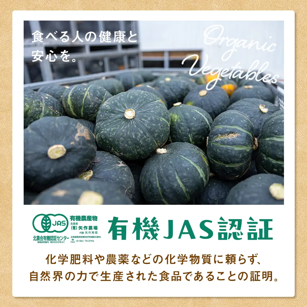 【先行受付】R8年産 有機栽培かぼちゃ 10kg | かぼちゃ カボチャ 南瓜 大容量 パンプキン 甘い 有機栽培 国産 産地直送 北海道 津別町 送料無料