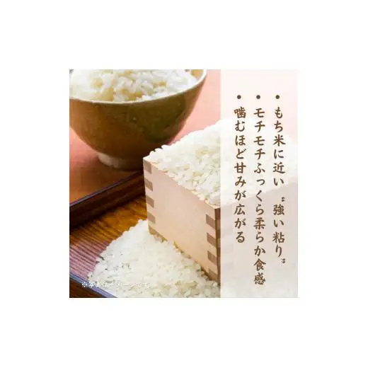 モチモチふっくら「ミルキークイーン」精米10kg ／ 米 こめ コメ お米 ご飯 ごはん ミルキークイーン 白米 精米 令和7年産 10kg 利根町 送料無料