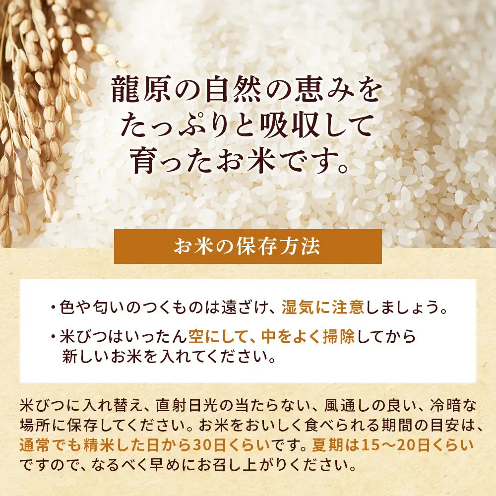 龍のひかり米 なつほのか（精米）4kg（2kg×2）