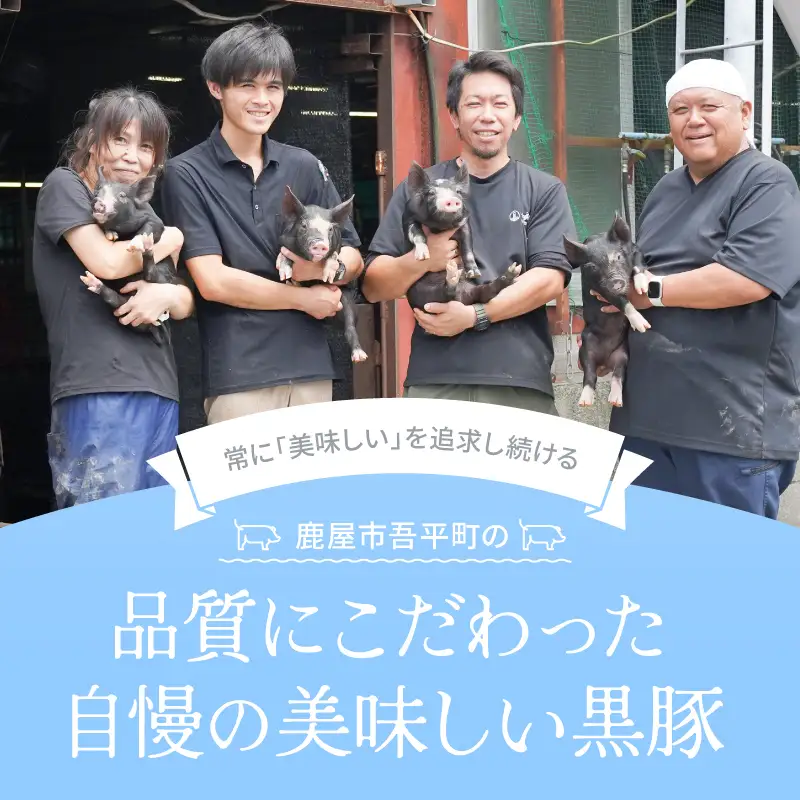鹿児島県産 黒豚ロース とんかつ 8枚 セット KN054-019 肉 豚肉