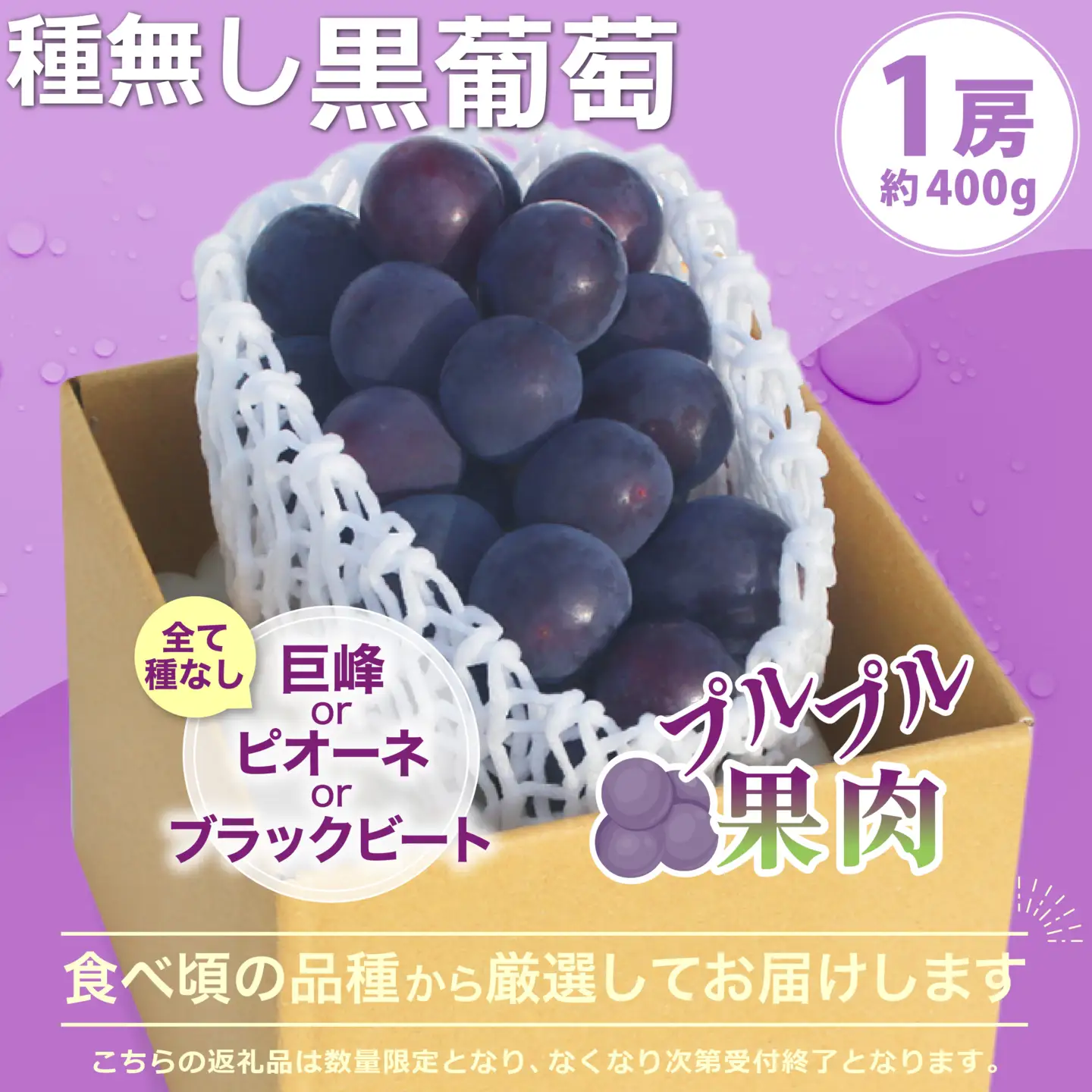 【2026年発送 先行予約】2回定期便 旬のフルーツ定期便（桃1㎏・種無し黒葡萄1房） 180-026-26y