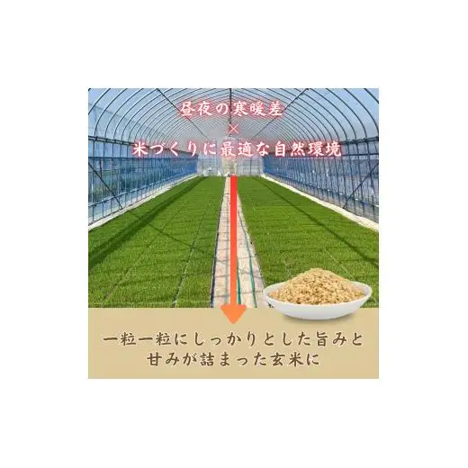 利根町産　コシヒカリ　玄米　5kg ／ 米 こめ コメ お米 おこめ コシヒカリ こしひかり 令和7年産 玄米 ごはん ご飯 5kg 健康志向 茨城県 利根町 産地直送 送料無料