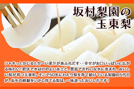 梨 熊本県産 玉東梨 約5kg 坂村梨園 熊本 梨