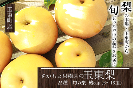 旬の梨 約5kg さかもと果樹園 期間限定 梨